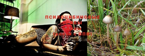 MDMA Premium VHQ Иннополис