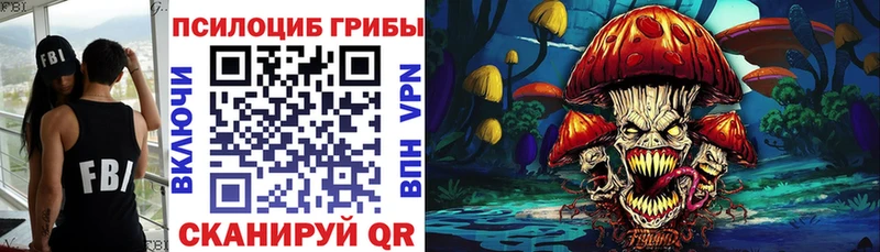 MEGA   Камбарка  Псилоцибиновые грибы мухоморы 